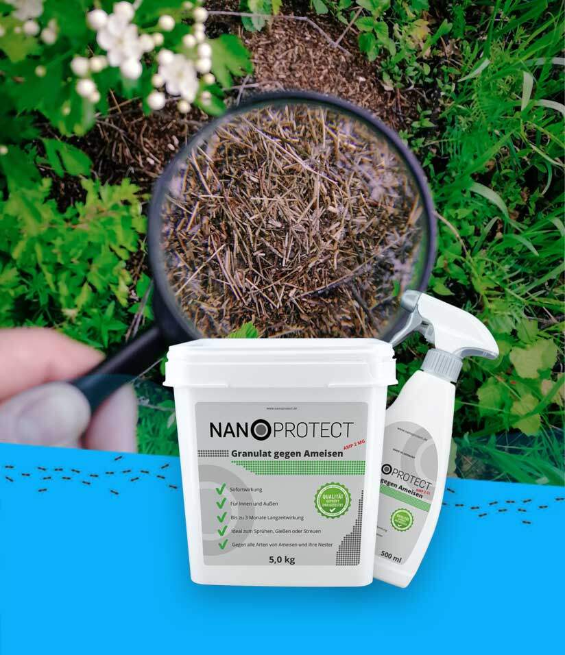 Nanoprotect Schädlingsbekämpfung - Ködergranulat und Spray gegen Ameisen und Silberfische
