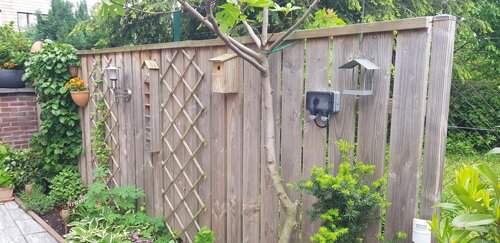 Vorher-Nachher-Vergleich: Vergrauter Gartenzaun und frisch behandeltes Holz nach Anwendung des Nanoprotect Holzpflege Systems.