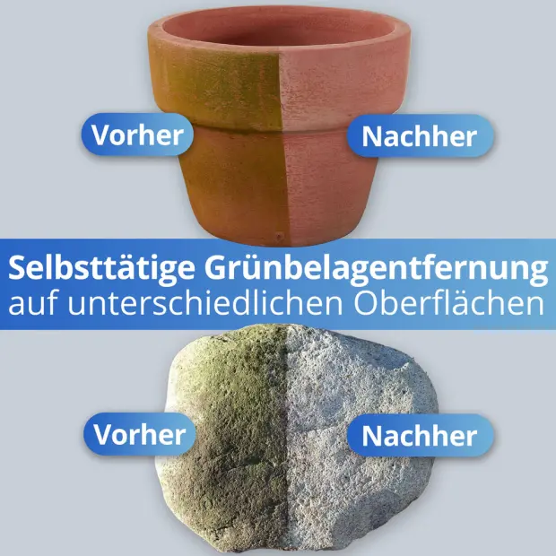 Grünbelagentferner Konzentrat - 1 kg + Drucksprüher