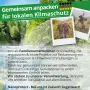 Grünbelagentferner Konzentrat - 1 kg + Drucksprüher