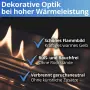Bioethanol 96,6% - 1 Liter - Sechserpack