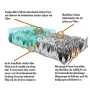 CleanglaS CGX - Graphen 10H+ Universal Coating - für 22 m²