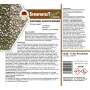 StoneprotecT - Set Reinigung | Grünbelagentferner + Steinreiniger