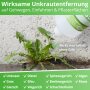 Essigsäure Grundstoff - Unkrautvernichter