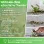 Essigsäure Grundstoff - Unkrautvernichter