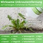 Essigsäure Grundstoff - Unkrautvernichter