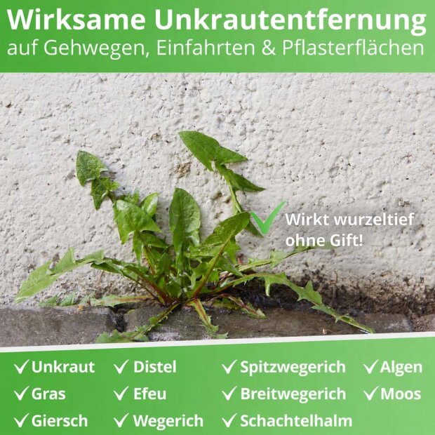 Essigsäure Grundstoff - Unkrautvernichter - 10 Liter + Drucksprüher