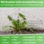 Essigsäure Grundstoff - Unkrautvernichter - 20 Liter