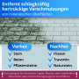 Steinreiniger Extrem - Intensivreiniger