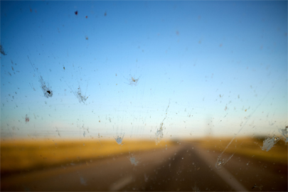 Nanoprotect Glasversiegelung - Glasbeschichtung gegen Insektenrückstände