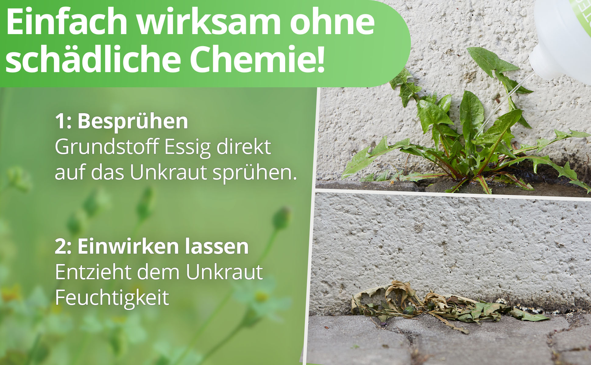 Nanoprotect Unkrautvernichter - Essigsäure Grundstoff