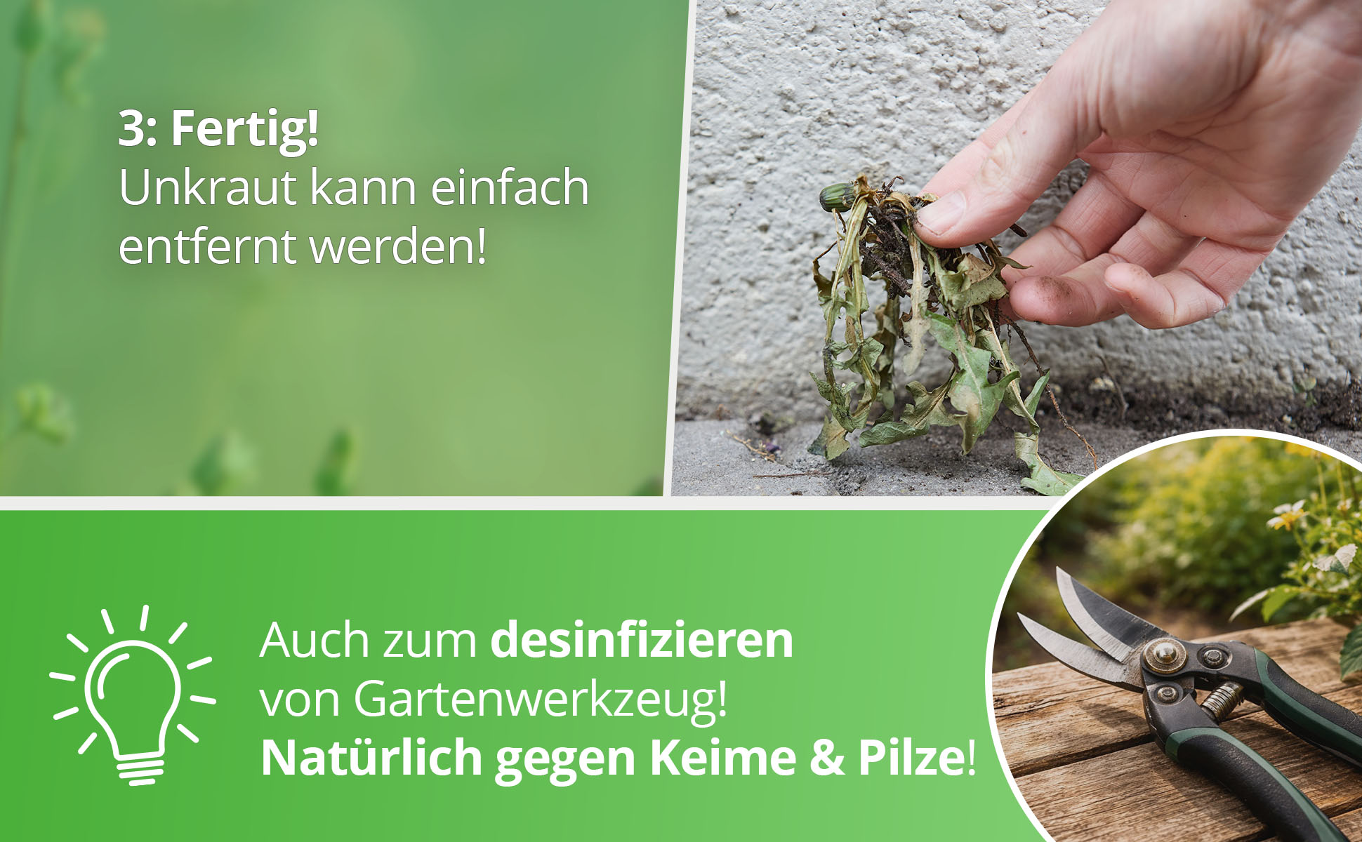 Nanoprotect Unkrautvernichter - Essigsäure Grundstoff